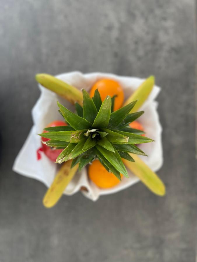 Appartamento Au Perchoir Caunes-Minervois Esterno foto